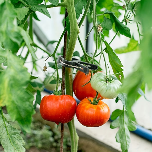 Ocoste Duurzame Plantenclips